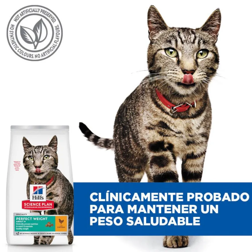 Hill's Science Plan Perfect Weight Adult frango ração para gatos