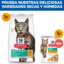 Hill's Science Plan Perfect Weight Adult frango ração para gatos