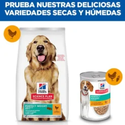 Hill's Science Plan Perfect Weight Adult Large Frango ração para cães