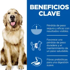 Hill's Science Plan Perfect Weight Adult Large Frango ração para cães