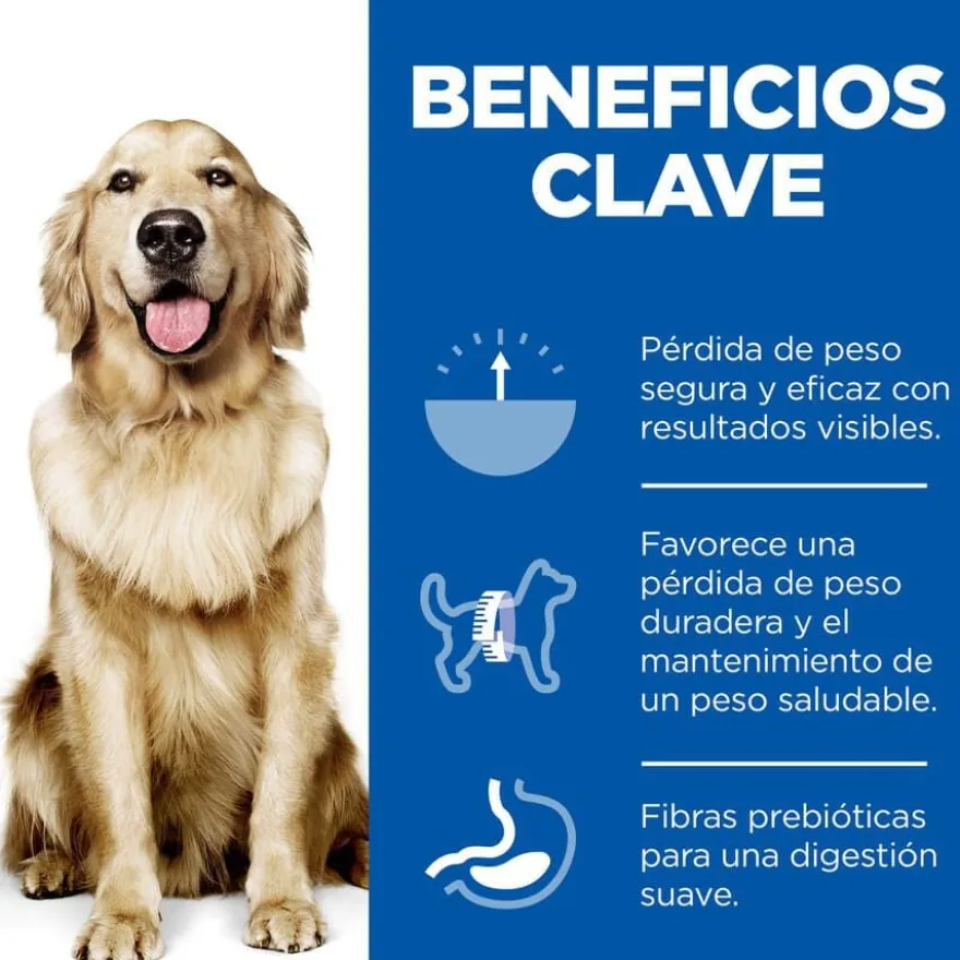 Hill's Science Plan Perfect Weight Adult Large Frango ração para cães