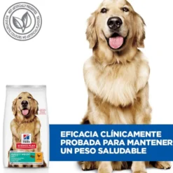 Hill's Science Plan Perfect Weight Adult Large Frango ração para cães