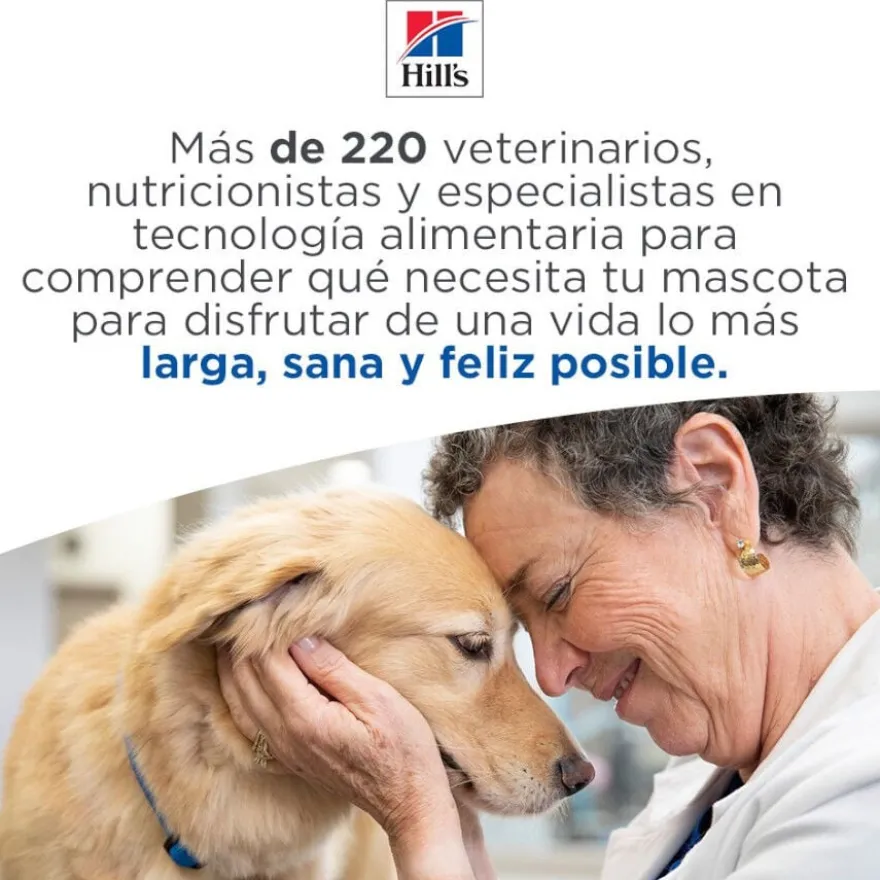 Hill's Science Plan Perfect Weight Adult Large Frango ração para cães