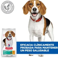 Hill's Science Plan Perfect Weight Adult Medium Frango ração para cães