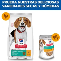 Hill's Science Plan Perfect Weight Adult Medium Frango ração para cães