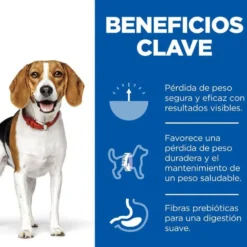 Hill's Science Plan Perfect Weight Adult Medium Frango ração para cães