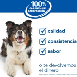 Hill's Science Plan Perfect Weight Adult Medium Frango ração para cães