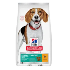 Hill's Science Plan Perfect Weight Adult Medium Frango ração para cães