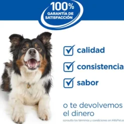 Hill's Science Plan Perfect Weight Adult Small & Mini Ração para cães