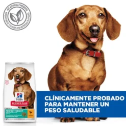 Hill's Science Plan Perfect Weight Adult Small & Mini Ração para cães