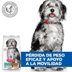 Hill's Science Plan Perfect Weight y Active Mobility Medium Frango ração para cães