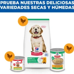 Hill's Science Plan Ração de frango para cães de raças grandes