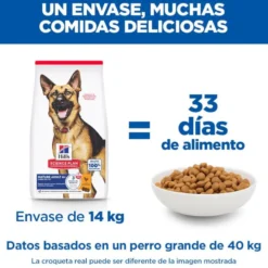 Hill's Science Plan Ração de frango para cães séniores de raças grandes