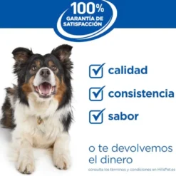 Hill's Science Plan Ração de frango para cães séniores de raças grandes