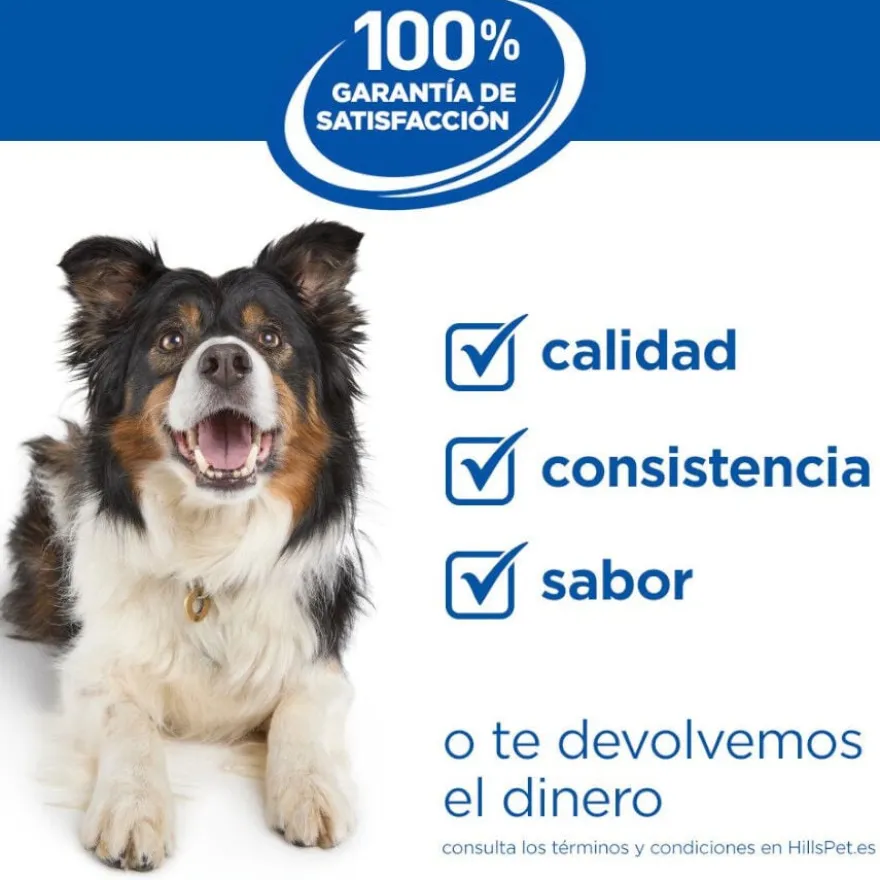 Hill's Science Plan Ração de frango para cães séniores de raças grandes