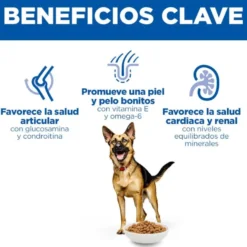 Hill's Science Plan Ração de frango para cães séniores de raças grandes