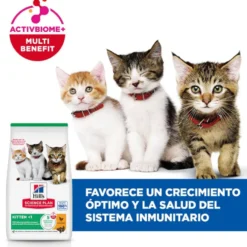 Hill's Science Plan Ração de frango para gatinhos