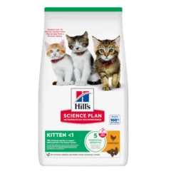 Hill's Science Plan Ração de frango para gatinhos
