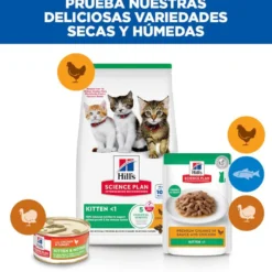 Hill's Science Plan Ração de frango para gatinhos