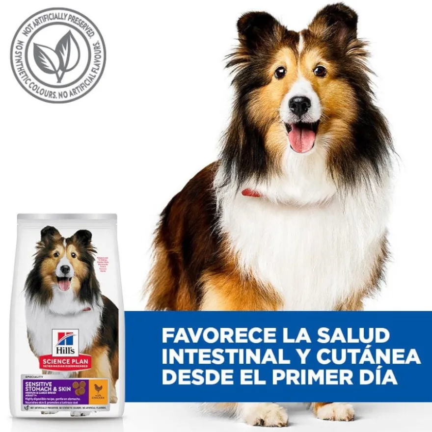 Hill's Science Plan Sensitive Stomach y Skin Adult Frango ração para cães