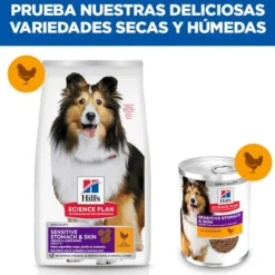Hill's Science Plan Sensitive Stomach y Skin Adult Frango ração para cães