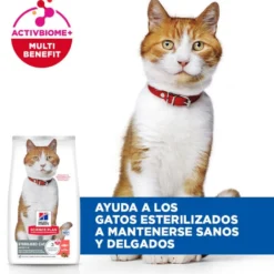 Hill's Science Plan Sterilised Ração de salmão para gatos esterilizados
