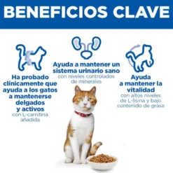 Hill's Science Plan Sterilised Ração de salmão para gatos esterilizados