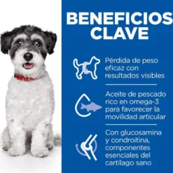 Hill's Small y Mini Perfect Weight y Active Mobility Frango ração para cães