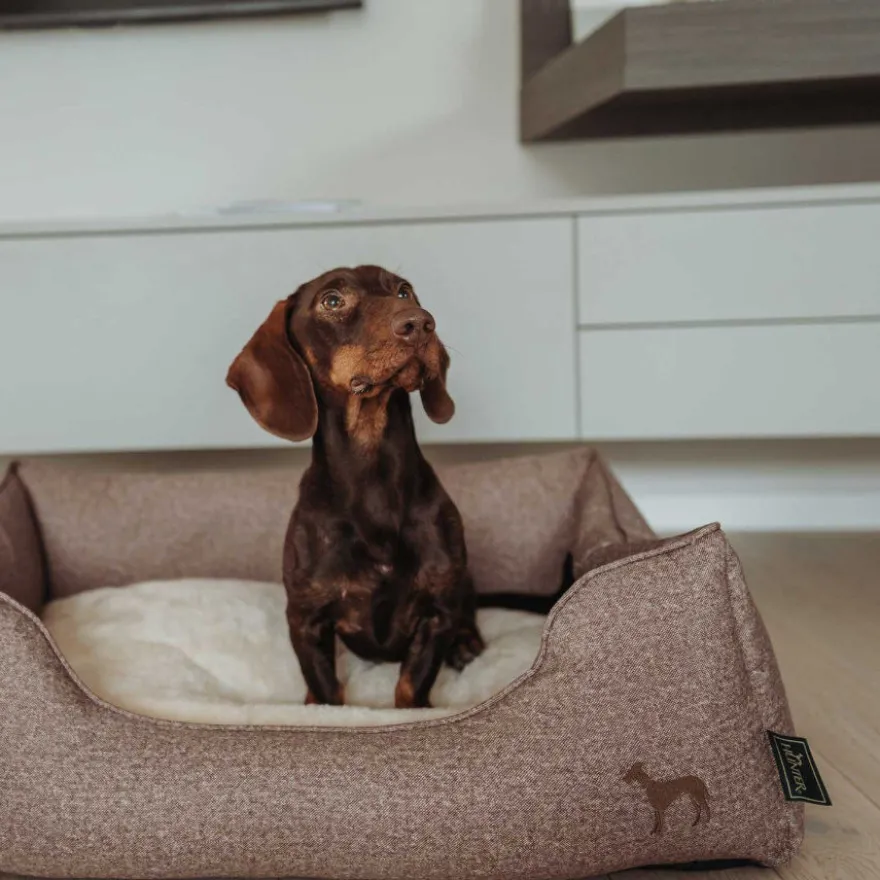 Hunter Boston Cozy Sofá Castanho para cães