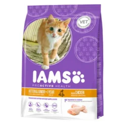 IAMS Kitten&Junior Frango ração para gatos