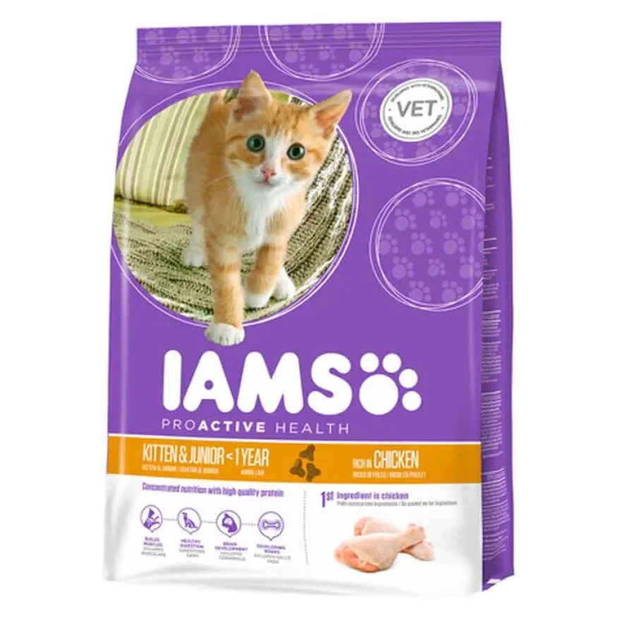 IAMS Kitten&Junior Frango ração para gatos