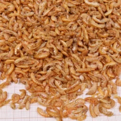 JBL Gammarus de Rio Desidratados para tartarugas aquáticas