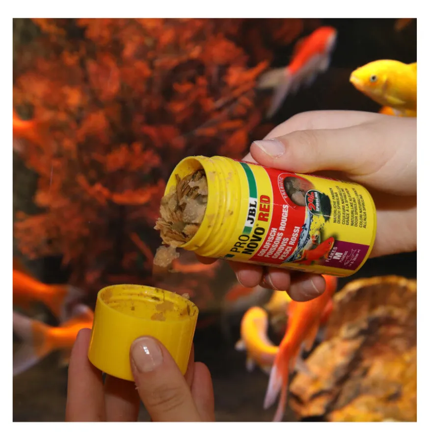 JBL ProNovo Red Flakes M Ração para peixes