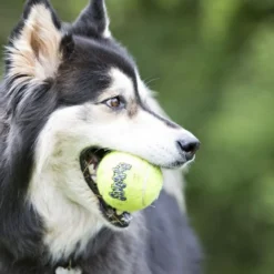 Kong Air Bola de ténis com som para cães