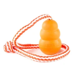 Kong Aqua brinquedo com corda para cães