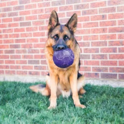 Kong Flexball Bola para cães
