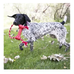 Kong Goodie Bone Osso com corda para cães