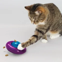 Kong Gyro Infused Portaguloseimas para gatos