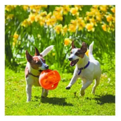 Kong Jumbler bolas para cães