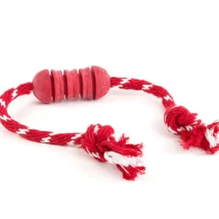 Kong Mastigador com cordas para cães