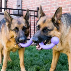 Kong Ogee Curvas Mordedor para cães
