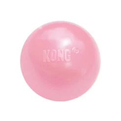 Kong Puppy Bola com buraco para cães