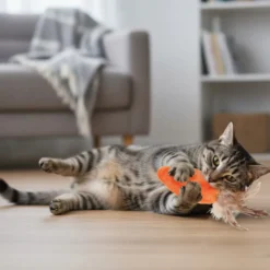 Kong Refillables Cenoura de peluche com erva-gateira para gatos