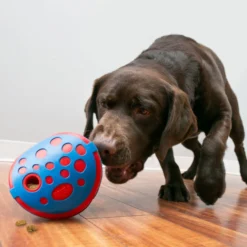 Kong Rewards Wally Brinquedo para cães