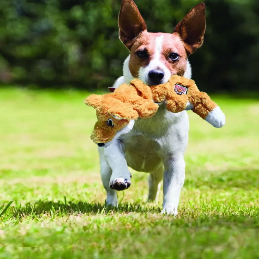 Kong Scrunch Knots Raposa de peluche para cães