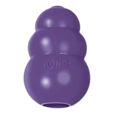Kong Senior Mordedor para cães