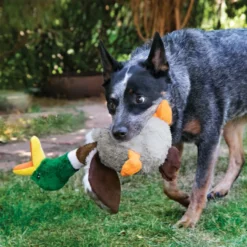 Kong Shakers Honkers Pato de peluche para cães