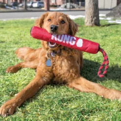 Kong Signature Stick Mordedor com Corda para cães