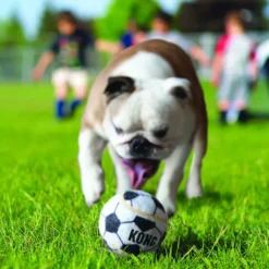 Kong Sport kit de bolas para cães