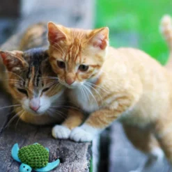 Kong Tartaruga Recarregável de Brinquedo para gatos